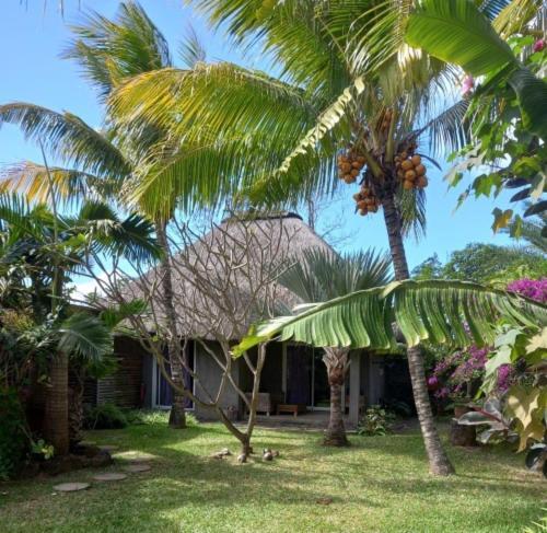 Brahmanhut - Eco Hut Experience In Harmony With Nature, Wellbeing And Spirit Bain Boeuf Екстериор снимка